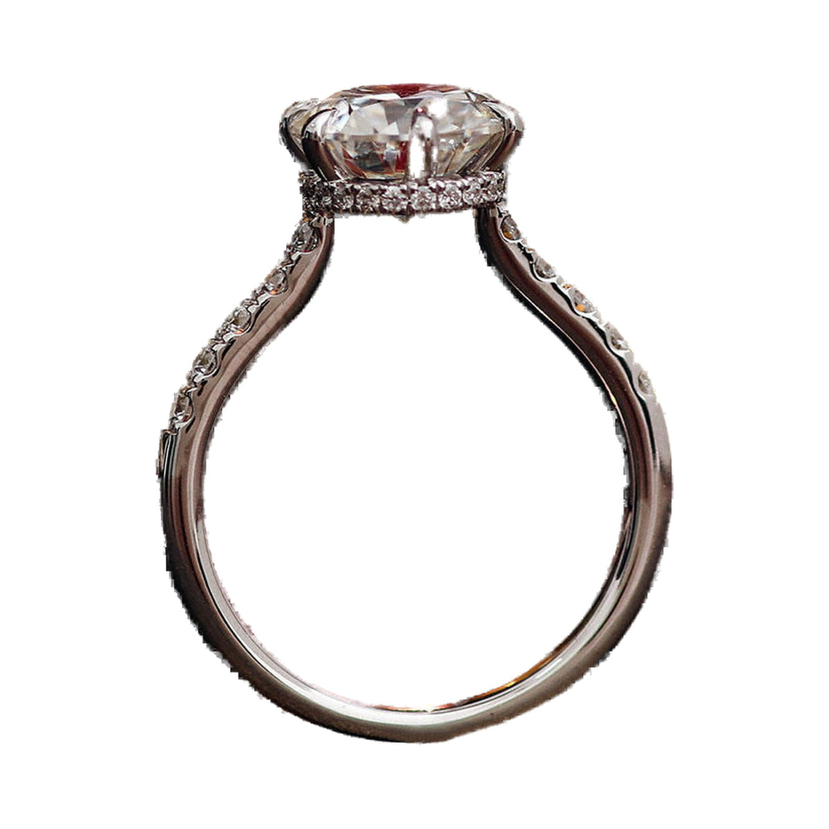 Hidden Halo Ring with Pave Setting, Round Moissanite Wedding Ring from Carat and Kraft, on white